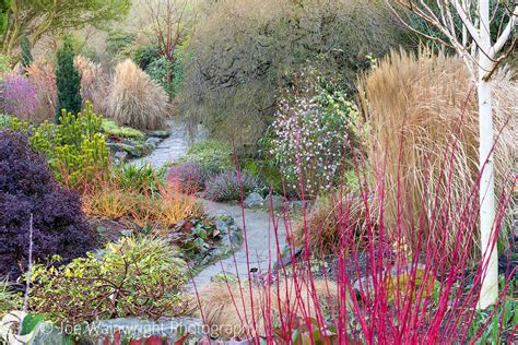 Bodnant Garden - Winter Garden | Joe Wainwright Photography