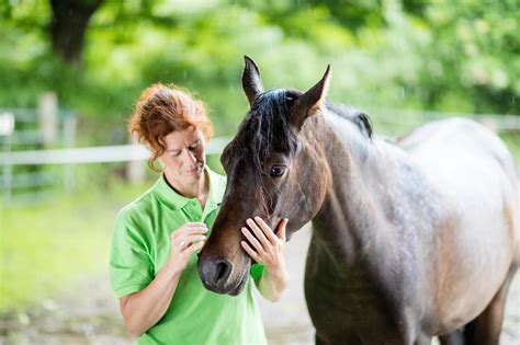 EPM in Horses: Causes, Treatment, and Long-term Management | Mad Barn