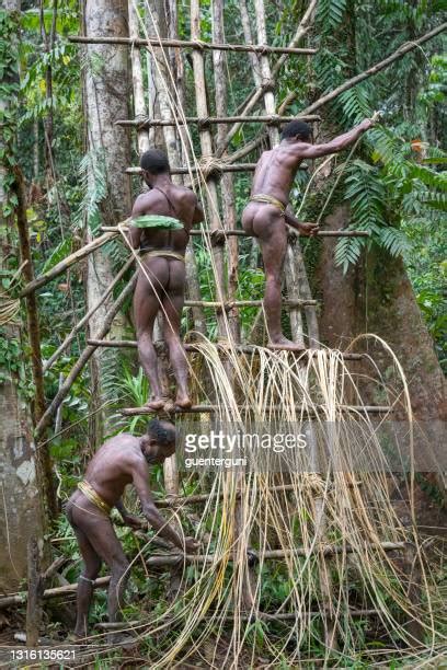 64 Korowai Tribe Stock Photos, High-Res Pictures, and Images - Getty Images