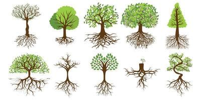 Tree Vector Art, Icons, and Graphics for Free Download