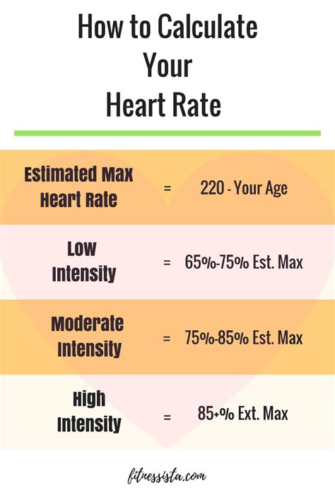 How Much Cardio Should You Do In A Day? - PostureInfoHub