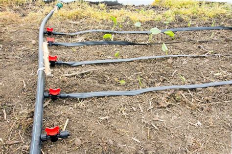 Irrigation System in Greenhouse Stock Photo - Image of spring, yard ...