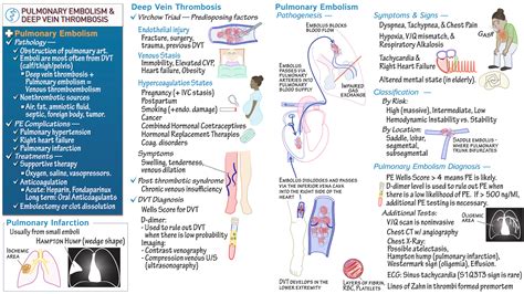 USMLE / COMLEX - Step 1: Pulmonary Embolism and Deep Vein Thrombosis ...