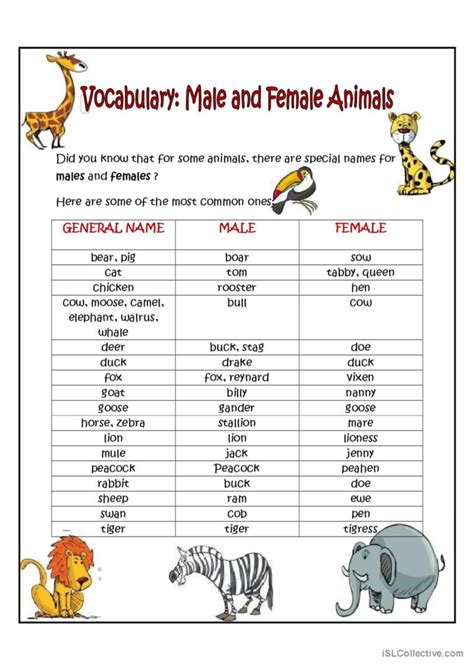 Male and female animals: English ESL worksheets pdf & doc