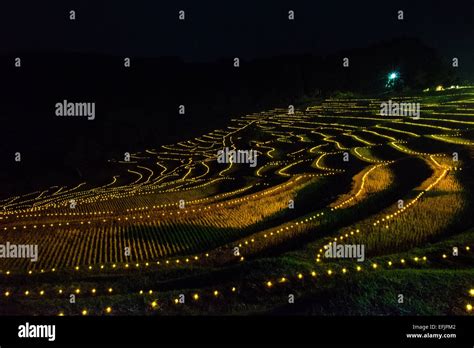 Oyama senmaida rice terrace,Kamogawa city,Chiba,Japan Stock Photo - Alamy