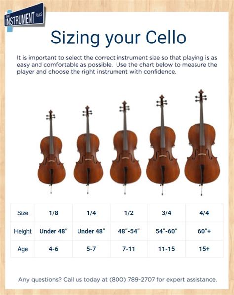 Eastman Model 502 Cello | VC501 Cello | TheInstrumentPlace.com