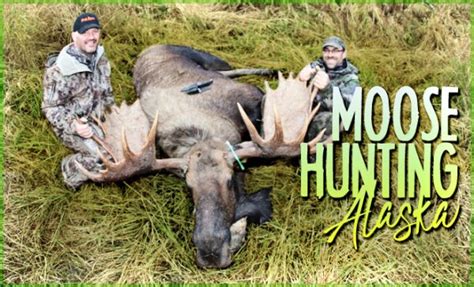 Moose Hunting Alaska: Info & Locations - Hunt Alaska Magazine