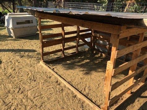 10 DIY Goat Shelter Plans + Tips for Building the Best Goat Shelter ...