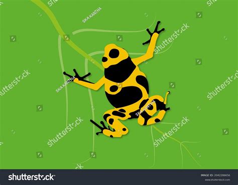 Frog Graphic Illustrator Drawing Top View Stock Illustration 2042286656 | Shutterstock