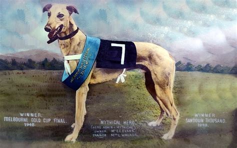 Poster on Greyhound in History – History of Greyhound Racing in Australia