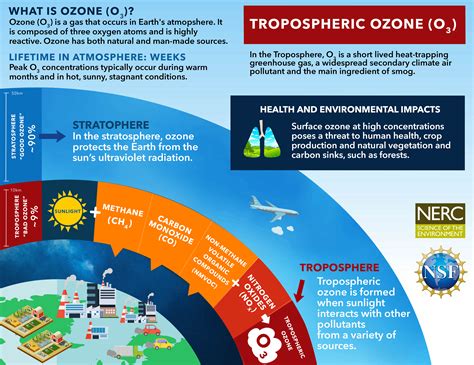 Tropospheric Ozone | BIOS Databytes