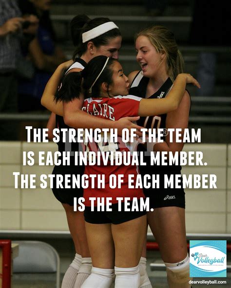 17 Volleyball Coach Quotes Inspired By My Volleycats Elite Players