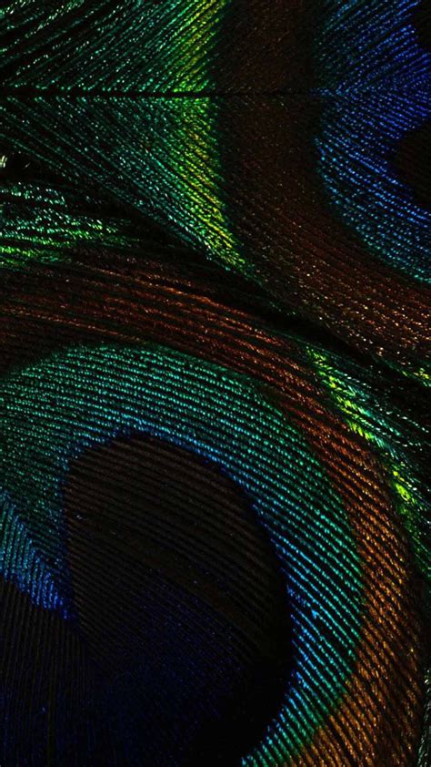 Peacock feather close up | Artwork, Abstract artwork, Abstract