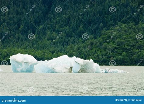 Glacier Ice in Juneau Alaska Stock Photo - Image of flow, global: 3102712