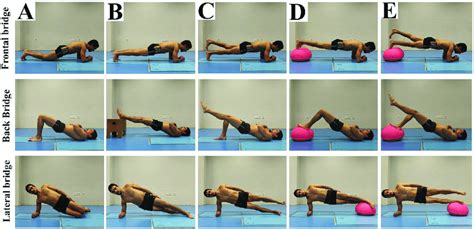 Variations of the frontal, dorsal and lateral bridge exercises. A)... | Download Scientific Diagram