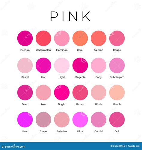 Pink Color Shades Swatches Palette with Names Stock Vector ...