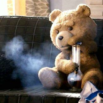 ted is smoking | Oso ted, Fondo de pantalla oso, Cráneos de animales