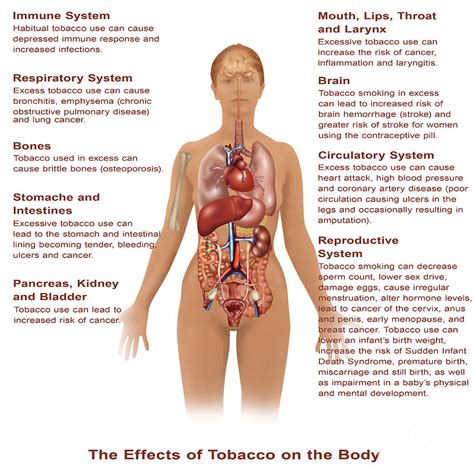 Effects Of Tobacco Use Photograph by Gwen Shockey