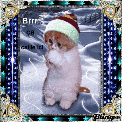 Brrr... ça Caille Ici !! Picture #89209000 | Blingee.com