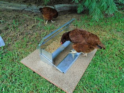 20 Free DIY Chicken Feeder Plans | Automatic Chicken Feeder