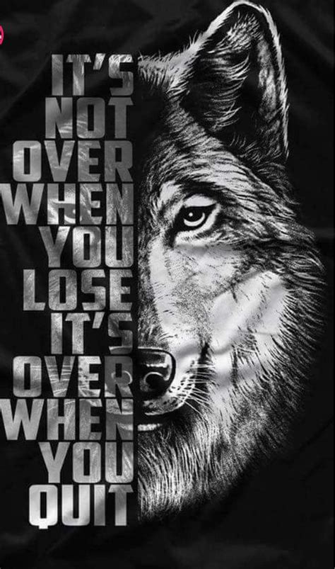 My Pack of Wolves on Twitter | Warrior quotes, Encouragement quotes, Great inspirational quotes