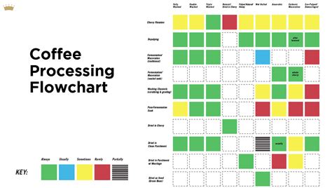 Coffee Processing Flow Chart - IMAGESEE