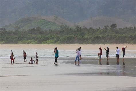 Pantai Pulau Merah, Pantai Surfing dengan Pemandangan Alam nan Indah - Indonesia Kaya