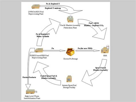 Safeguards Approaches for Fast Breeder Reactors and Associated Fuel ...