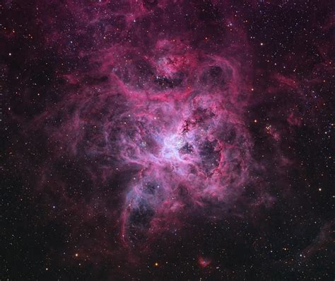 The Tarantula Nebula. | Nebula, Astronomy, Orion nebula