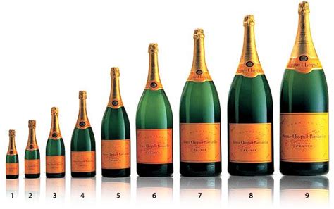 my favorite champagne! in SO many sizes! | Wine bottle sizes, Champagne bottle sizes, Wine bottle