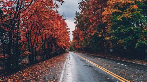 Fall Road Wallpaper