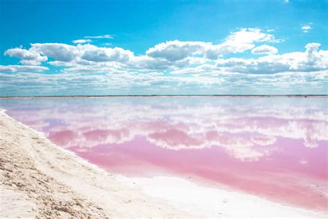 Las Coloradas: The Wonderful Pink Lakes of Mexico | Green and Turquoise