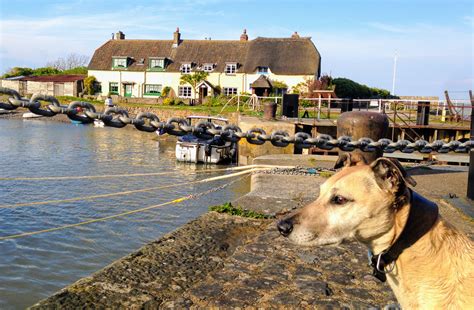 Dog Friendly Cottages on Exmoor | Useful Info | The Best of Exmoor Blog