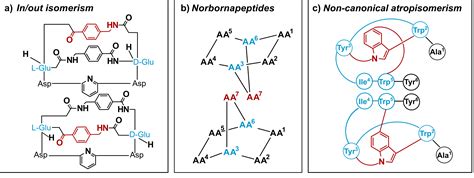 The occurrence of ansamers in the synthesis of cyclic peptides | Nature ...