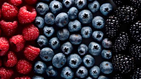 11 Reasons Why Berries Are Among the Healthiest Foods on Earth