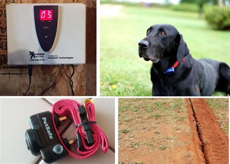 How To Install An Electric Dog Fence? A Complete Guide - WAF