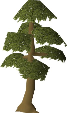 Yew tree (Farming) - OSRS Wiki