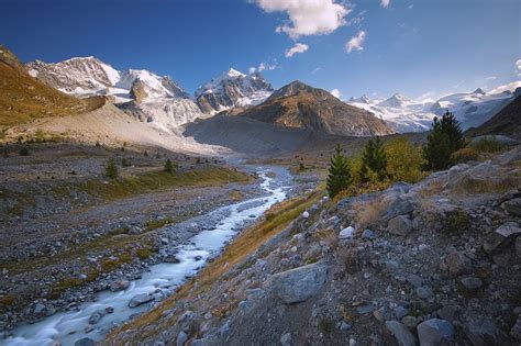 vogelwarte.ch - Mountains and Alpine habitats