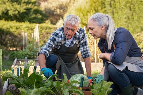 discovery village at the west end assisted living - Arica Macklin