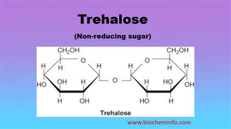 Trehalose: Occurrance, Structure, Properties, Function, Digestion, Production, Production, Uses ...