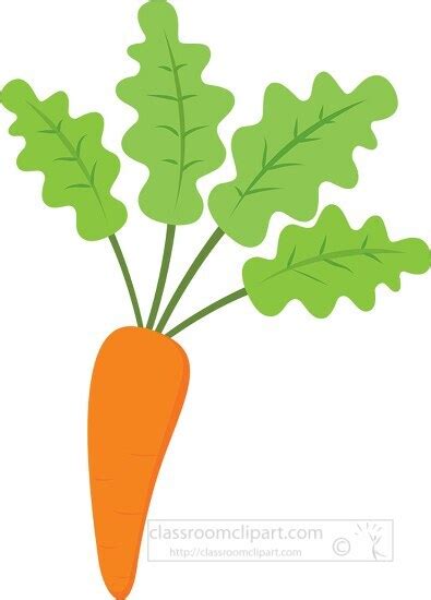 Vegetable Clipart-single carrot vegetable clipart 516