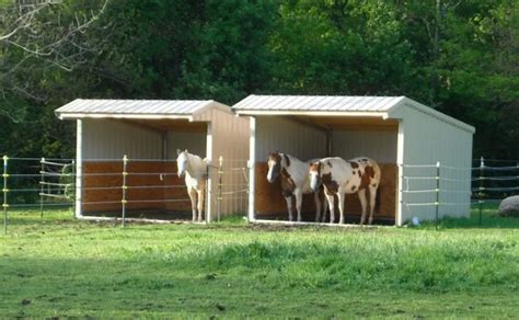 17 DIY Horse Shelter Plans - DIYnCrafty