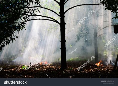 Smoke Fire Burn Causes Air Pollution Stock Photo 1284972214 | Shutterstock