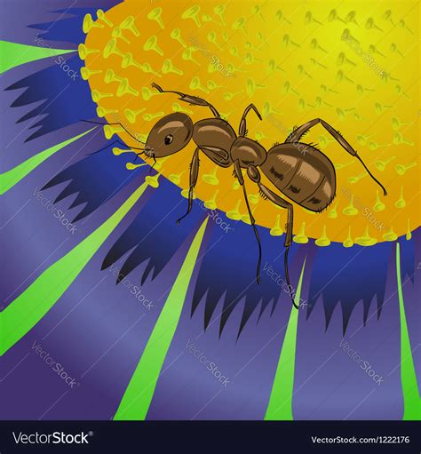 Ant Royalty Free Vector Image - VectorStock