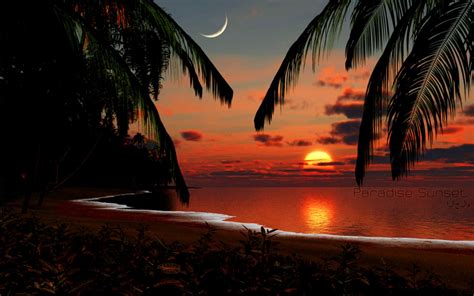 Tropical Paradise Sunset | Wallpapers Gallery