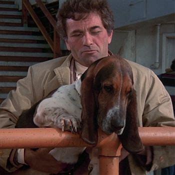 18 adorable dogs from classic television shows | Columbo, Basset hound ...