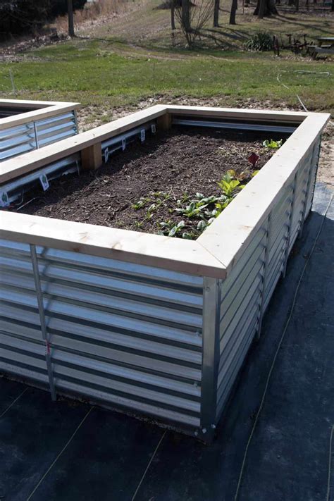 How To Make Galvanized Raised Garden Beds - How To Grow Vegetables In A Galvanized Raised Garden ...