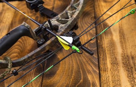 Bow Hunting For Beginners in 2023 | OutdoorWorld Reviews