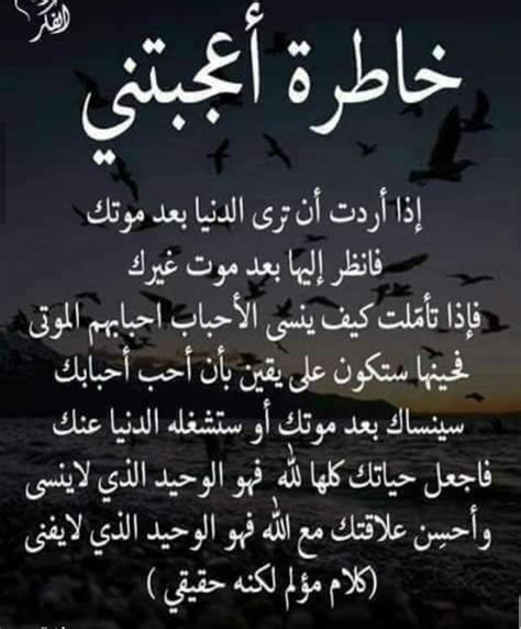 عاطف نور الدين on Twitter: