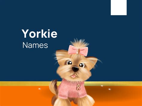 1520+ Yorkie Names for Your Little Bundle of Joy! (+Generator)